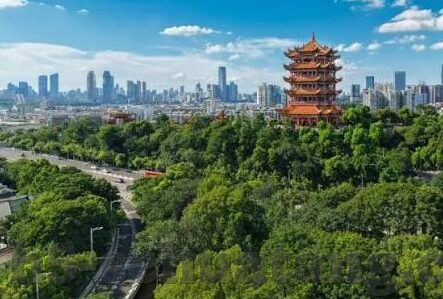 91麻豆精品国产自产在线-解开国产自产精品的迷思，揭秘91麻豆背后的真实世界