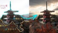 大象传媒软件免费下载-免费下载大象传媒软件，解锁娱乐与信息的新窗口