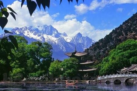国产肥熟女视频一区二区-国产肥熟女视频一区二区，网络文化与性别认知的反思