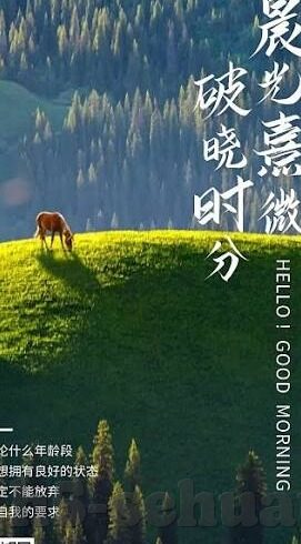 国产麻豆剧传媒av国产电影-探讨国产麻豆剧传媒及其对国产电影文化的影响