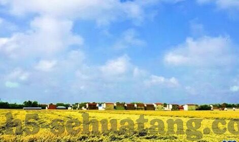 麻豆视频传媒app官网-审慎对待网络视频平台，麻豆视频传媒APP官网的若干深思