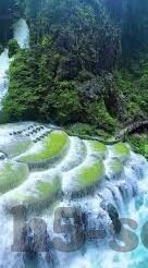 日本一道免费一区二区-探索日本文化与旅游的独特魅力，一区二区的免费体验