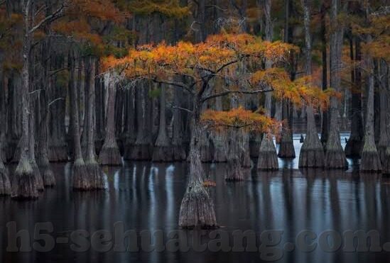 糖心vlog免费版视频-免费时代下的视频新宠，糖心Vlog