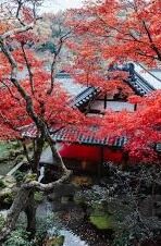 亚洲AV中文日韩二区-亚洲AV中文日韩二区，文化与娱乐的交汇