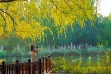 亚洲欧美成人在线视频-亚洲与欧美成人在线视频，文化差异与影响探讨
